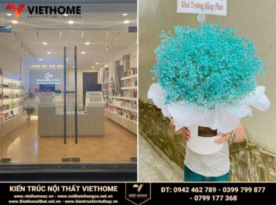 thiet-ke-biet-thu-tan-co-dien